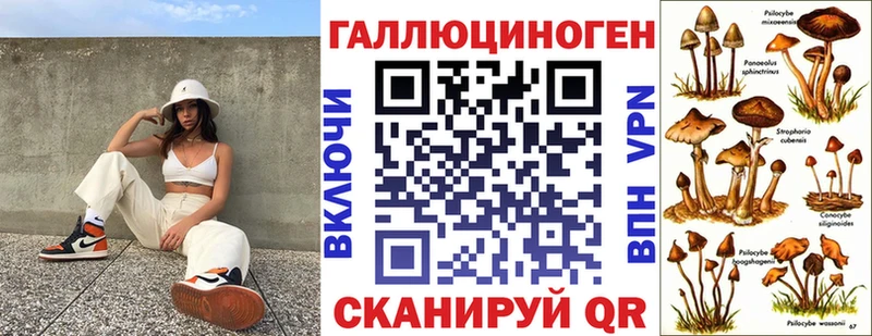 купить наркотик  Кологрив  Галлюциногенные грибы Psilocybe 